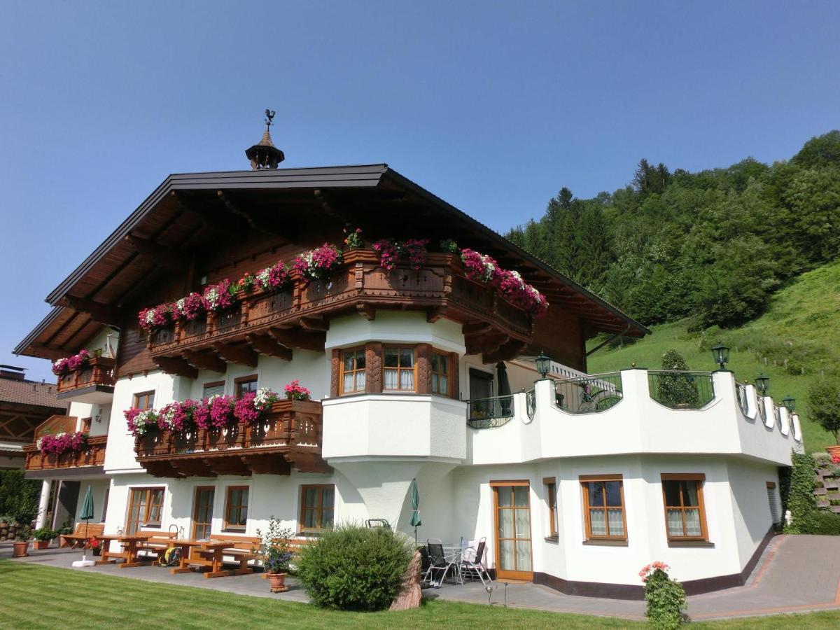 Landhaus Gruber Winter 阿尔班多夫 外观 照片