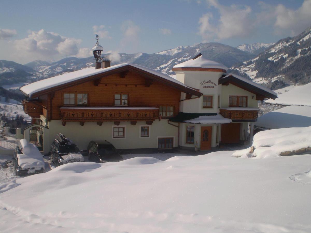 Landhaus Gruber Winter 阿尔班多夫 外观 照片